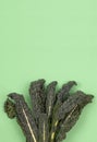 Fresh green organic raw kale, Italian kale, Tuscan kale, lacinato, dinosaur kale, leaves on green background. Top view