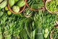 Fresh green organic Southeast Asian vegetables and spices from local farmer market, Northern of Thailand Royalty Free Stock Photo