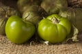 Fresh Green Organic Tomatillo Royalty Free Stock Photo