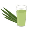 Fresh green pandan leaves and glass of pandan tea isolated on white.