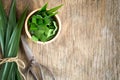 Fresh green pandan in a wooden bowl on wood table,pandan leaves