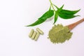 Fresh green paniculata and Andrographis Paniculata Capsules Thai herbs and Chinese herbs used to treat Relieves cold symptoms and