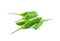 Fresh green paprika on white background. Royalty Free Stock Photo