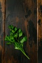 Fresh green parsley, cilantro on wooden rustic table. Top view. Royalty Free Stock Photo