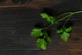 Fresh green parsley, cilantro on wooden rustic table. Top view. Royalty Free Stock Photo