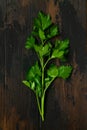 Fresh green parsley, cilantro on wooden rustic table. Top view. Royalty Free Stock Photo