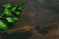 Fresh green parsley, cilantro on wooden rustic table. Top view. Royalty Free Stock Photo