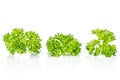 Fresh green parsley isolated on white Royalty Free Stock Photo