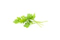 Fresh green parsley leaves bunch, raw organic leaf, isolated on white background Royalty Free Stock Photo