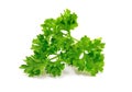 Fresh green parsley leaves isolated on white background