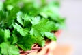 Fresh green parsley leaves photo. Rich source of protective flavonoid antioxidants. Parsley herbs background. Closeup Royalty Free Stock Photo