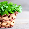 Fresh green parsley leaves in a wicker basket. Garden parsley on wooden table. Plant source with quality antioxidant activities Royalty Free Stock Photo