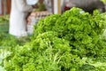 Fresh green parsley on a local market with regional food