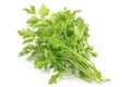 Fresh green parsley, parsley herb isolated on white background with clipping path Royalty Free Stock Photo