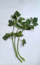 Fresh green parsley on white backgroun Royalty Free Stock Photo