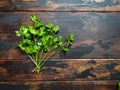 Fresh green parsley, cilantro on wooden rustic table. Top view. Royalty Free Stock Photo