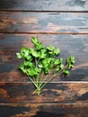 Fresh green parsley, cilantro on wooden rustic table. Top view. Royalty Free Stock Photo