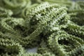 Fresh green pasta. Natural dyes. The pasta cooking process. Small pasta production. Royalty Free Stock Photo