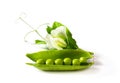 Fresh green pea in the pod with flower isolated on white Royalty Free Stock Photo