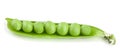 Fresh green pea pod isolated on white background Royalty Free Stock Photo