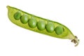 Fresh green pea pod isolated on white background. Top view. Flat lay Royalty Free Stock Photo