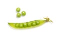 Fresh green pea pod on white background Royalty Free Stock Photo