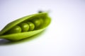 Fresh green pea pods with foliage on a white background. One pod is open, peas are visible.