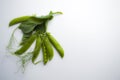 Fresh green pea pods with foliage on a white background. One pod is open, peas are visible.