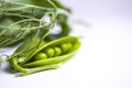 Fresh green pea pods with foliage on a white background. One pod is open, peas are visible.