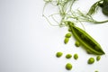 Fresh green pea pods with foliage on a white background. One pod is open, peas are visible.