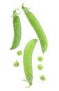 Fresh green pea pods and peas isolated on white background, top view Royalty Free Stock Photo