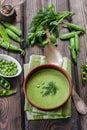 Fresh green pea soup with pea seeds and pea pods Royalty Free Stock Photo