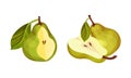 Fresh green pear set. Whole and cut in half ripe organic fruit vector illustration Royalty Free Stock Photo