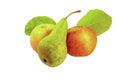 Fresh green pear and two apples with green leafs. Royalty Free Stock Photo