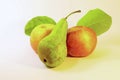 Fresh green pear and two apples with green leafs. Royalty Free Stock Photo