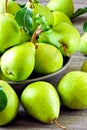 Fresh green pears. Pears harvest. Freshly harvested pears.