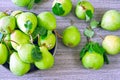 Fresh green pears. Pears harvest. Freshly harvested pears.