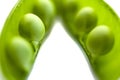 Fresh green peas close up on a white background, macro photography