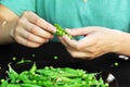 Fresh green peas in a hand on a dark background. Fresh food from the garden. Plant food Royalty Free Stock Photo