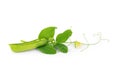 Fresh green peas isolated on a white background Royalty Free Stock Photo