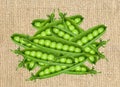Fresh green peas over burlap background Royalty Free Stock Photo