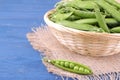 green peas in a pod in a large wicker basket on a blue wooden background. Royalty Free Stock Photo