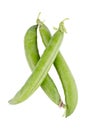 Fresh green peas pods Royalty Free Stock Photo