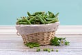 Fresh green peas in pods are in a braided basket Royalty Free Stock Photo