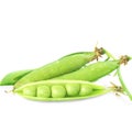 Fresh green peas vegetable in white background Royalty Free Stock Photo