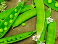 Fresh green peas on wood background. peas, pods and leaves set. Healthy food. Macro shooting.
