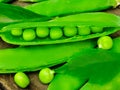 Fresh green peas on wood background. peas, pods and leaves set. Healthy food. Macro shooting.