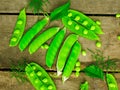 Fresh green peas on wood background. peas, pods and leaves set. Healthy food. Macro shooting.