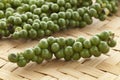 Fresh green pepper drupes