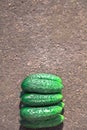 Fresh, green, pimply, small cucumbers on the gray concrete floor Royalty Free Stock Photo